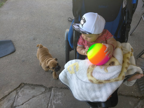 Agibaby Infant & Toddler 3D Embroidered Bulldog hat- 30 Day Free Trial enter "FREETRIAL" at checkout